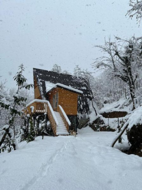 Thoma's hut-თომას ქოხი